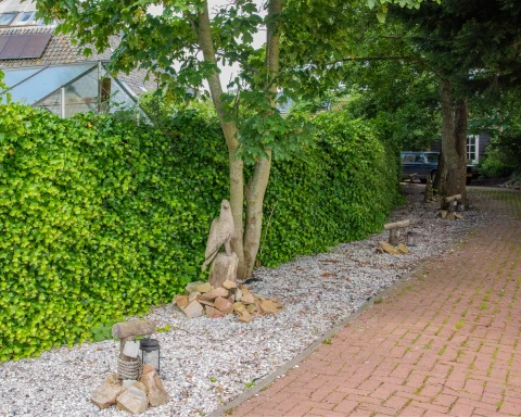 Impressie van de buitenplaats - Klik voor vergroting