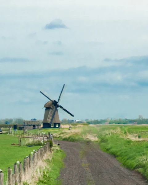 Impressie van de omgeving - Klik voor vergroting