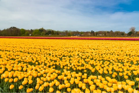 Impressie van de omgeving - Klik voor vergroting