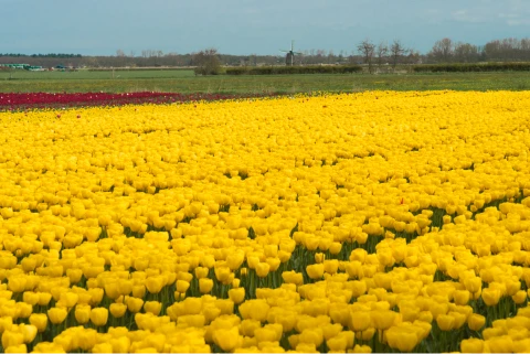 Impressie van de omgeving - Klik voor vergroting